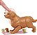 BARBIE COM ANIMAL FILHOTES RECÉM-NASCIDOS- HCK75-MATTEL - Imagem 5