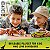 Lego Jurassic Park Pesquisa de Triceratops 76959 - Imagem 2