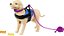 Boneca Barbie Articulada com Cadeira de Rodas e Cão Mattel HJY85 - Imagem 4