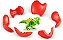 Brinquedo Dino Island Mini T-Rex Sortidos Fun F0149-5 - Imagem 4