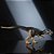Jurassic World Hammond Dinossauro Allosaurus JCG13 - Imagem 8