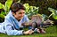 Jurassic World Dinossauro Rebirth Spinosaurus Mattel JGB56 - Imagem 2