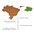 Quebra Cabeça Mapa do Brasil G em MDF 2,5mm 27 Peças 38x37cm - Imagem 5