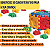 Brinquedo Educativo Cubo Interativo Animais Encaixe Crianças - Imagem 2