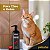 Peluche Pitanga Negra Condicionador Neutralizador de Odores 500ml Para pets - Imagem 3