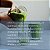Spirulina em Pó 100% Pura: Superalimento Natural Rico em Nutrientes - Imagem 4