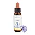 Chicory – Floral de Bach Healingherbs 10ml - Imagem 1
