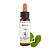 Beech – Floral de Bach Healingherbs 10ml - Imagem 1