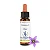 Gentian – Floral de Bach Healingherbs 10ml - Imagem 1