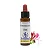 Honeysuckle – Floral de Bach Healingherbs 10ml - Imagem 1