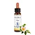 Wild Rose – Floral de Bach Healingherbs 10ml - Imagem 1