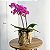 Orquídea em Cestaria - Imagem 4