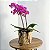 Orquídea em Cestaria - Imagem 1