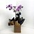 Presente Mini Orquídea Phal 2 Hastes - Imagem 1