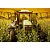 Climatizador de Ar Agrícola Resfriagro - Resfriar - Imagem 3