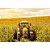 Climatizador de Ar Agrícola Resfriagro - Resfriar - Imagem 2