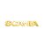 Capa Emblema Letreiro Para Scania S5 P Moderno Dourado - Imagem 1