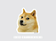 Doge - Imagem 1