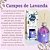 Aromatizador Ambiente Campos Lavanda 270ml Pantanal Aromas - Imagem 5