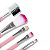 Kit 5 Pincéis Escovinha Esponjinha Maquiagem Rosa Rosto Make-Up Pó Sombra Blush Batom Contorno - Imagem 2