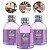 Kit 3 Aromatizador Campos de Lavanda Refrescante Varetas Energizante Bem-Estar Fragrância Suave Casa Escritório 270ml, Pantanal Aromas - Imagem 4