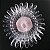 Expositor Esmaltes 60 Unhas Transparentes Mostruário Espiral - Imagem 6