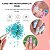 Kit 24 Flores Secas Decoração e Encapsulamento de Unhas Gel - Imagem 2