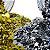Kit 24 Glitters Prata Dourado Flocado Encapsulamento Unha - Imagem 2