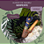 Kuripe Serpente - Bambu - Imagem 2