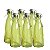 CJ. DE GARRAFAS DE VIDRO - 6 PCS - Imagem 1