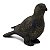 FIGURA DECORATIVA - PAPAGAIO - Imagem 1