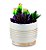 CACHEPOT EM CERAMICA COM SUCULENTA PERMANENTE - Imagem 1