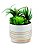 CACHEPOT EM CERAMICA COM SUCULENTA PERMANENTE - Imagem 1