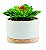 CACHEPOT EM CERAMICA COM SUCULENTA PERMANENTE - Imagem 1