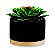 CACHEPOT EM CERAMICA COM SUCULENTA PERMANENTE - Imagem 1