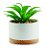 CACHEPOT EM CERAMICA COM SUCULENTA PERMANENTE - Imagem 1