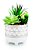 CACHEPOT EM CERAMICA COM SUCULENTA PERMANENTE - Imagem 1
