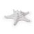 ORNAMENTO DE RESINA MODELO - ESTRELA DO MAR MEDIA BRANCO - Imagem 1