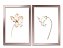 QUADRO DECORATIVO 2 PÇS ROSE GOLD NATURE 53x33x3CM - Imagem 1