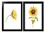 QUADRO DECORATIVO 2 PÇS PRETO SUNFLOWER 53x33x3CM - Imagem 1