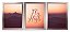 QUADRO DECORATIVO 3 PÇS ROSE GOLD FLY 43x33x1CM - Imagem 1