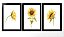 QUADRO DECORATIVO 3 PÇS PRETO SUNFLOWER 43X33X1CM - Imagem 1
