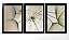 QUADRO DECORATIVO 3 PÇS PRETO LION 43X33X1CM - Imagem 1