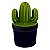 POTE DE CERAMICA COM TAMPA - CACTOS - VERDE E CINZA ESCURO - Imagem 1