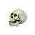 CABECA DE CAVEIRA DECORATIVA DE RESINA - Imagem 1
