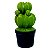 POTE DE CERAMICA COM TAMPA - CACTOS - VERDE E CINZA ESCURO - Imagem 1