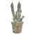 CACTO DECORATIVO EM RESINA MARROM 14CM X 12CM X 30CM - Imagem 1