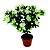 PLANTA ARTIFICIAL OLIVEIRA 41CM X 34CM X 52CM - Imagem 1