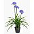 PLANTA ARTIFICIAL - Imagem 1