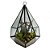 TERRAREO DE VIDRO E METAL PRETO E FLORES DECORATIVAS - Imagem 1
